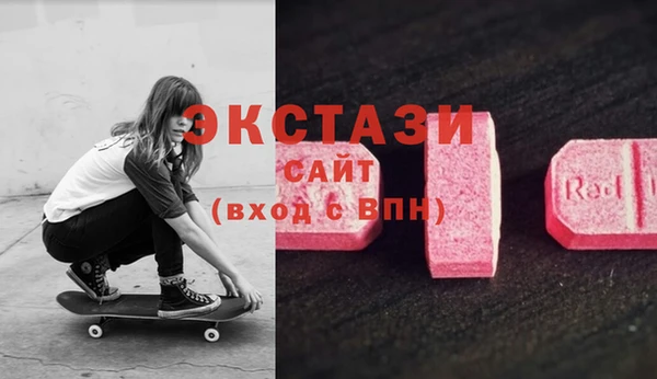 молекула духа Осташков