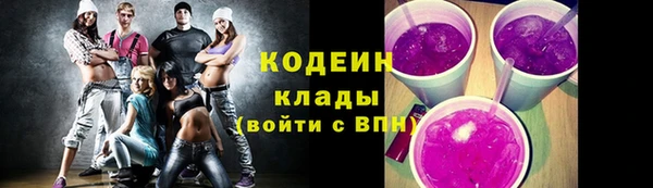 молекула духа Осташков