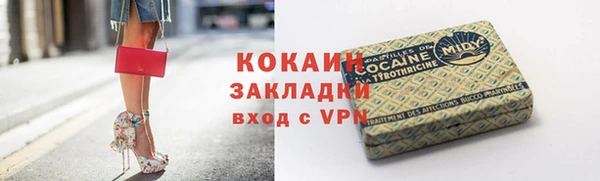apvp Дмитриев
