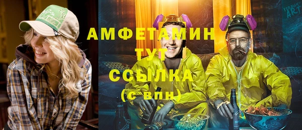 молекула духа Осташков