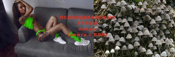 молекула духа Осташков