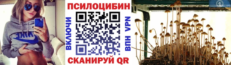 Галлюциногенные грибы мухоморы  блэк спрут маркетплейс  Полесск 